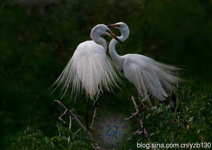 晒晒我的婚纱照,我美吗?(组图,14张图片) 晒晒我的婚纱照,我美吗?(组图,14张图片)