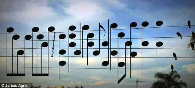 来自大自然的音乐