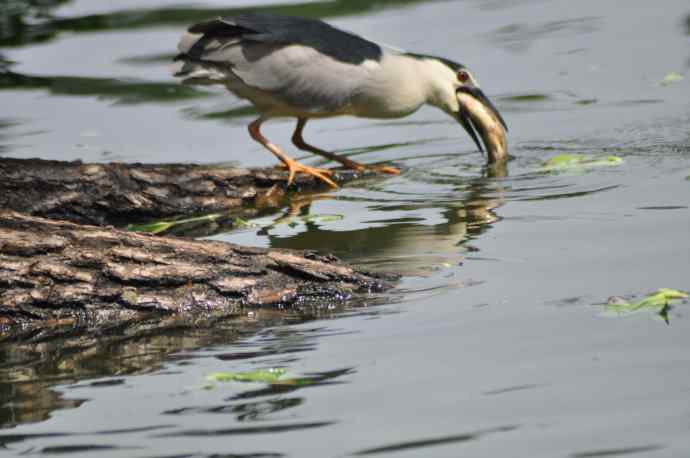 无头无尾的巧遇
