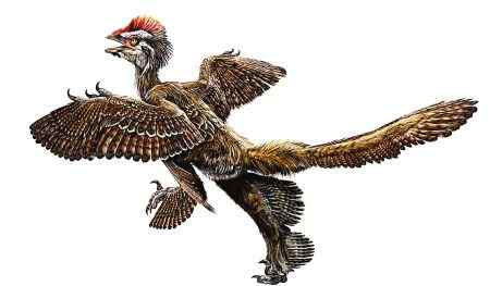 最古老的带毛恐龙