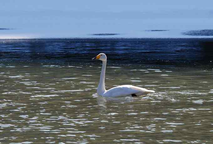 白河峡谷三月雪