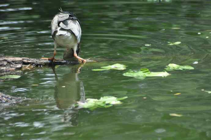 无头无尾的巧遇