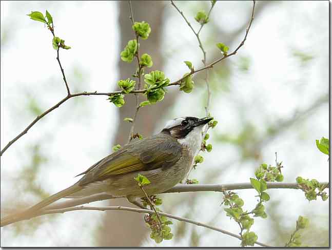  点击图片或使用键盘← →翻页