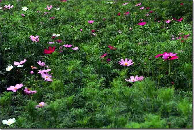 游北宫国家森林公园