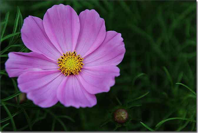 游北宫国家森林公园