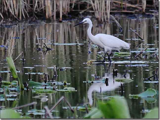  点击图片或使用键盘← →翻页