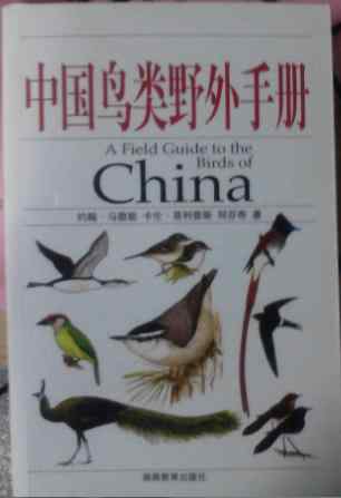 《中国鸟类野外手册》PDF经典版下载