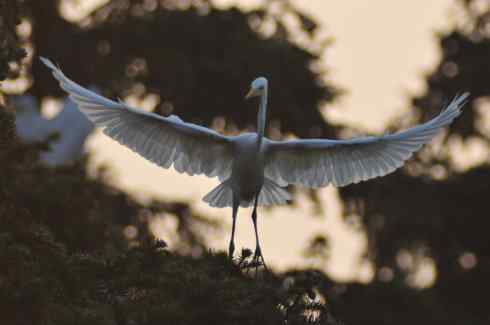 德国品牌650鈥1300镜头使用技巧摸索 德国品牌650—1300mm镜头使用技巧摸索