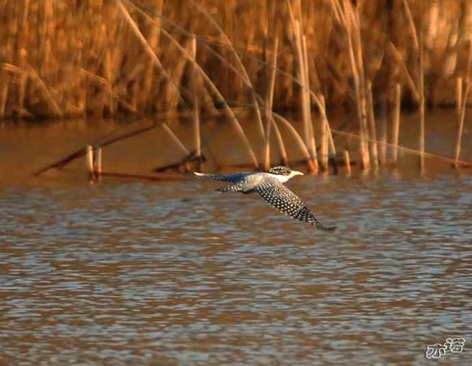 最近两天的收获