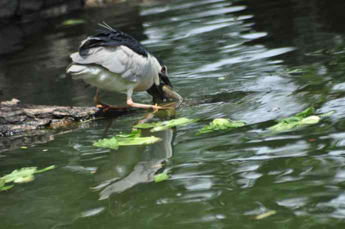 无头无尾的巧遇