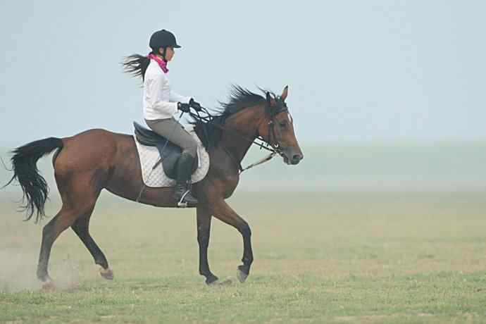 雾天鈥斺斠把己的早晨