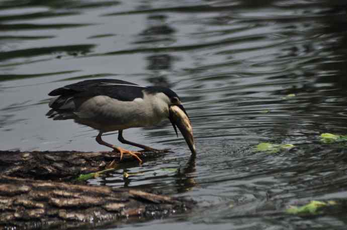无头无尾的巧遇