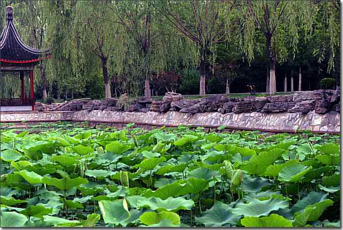 游北宫国家森林公园