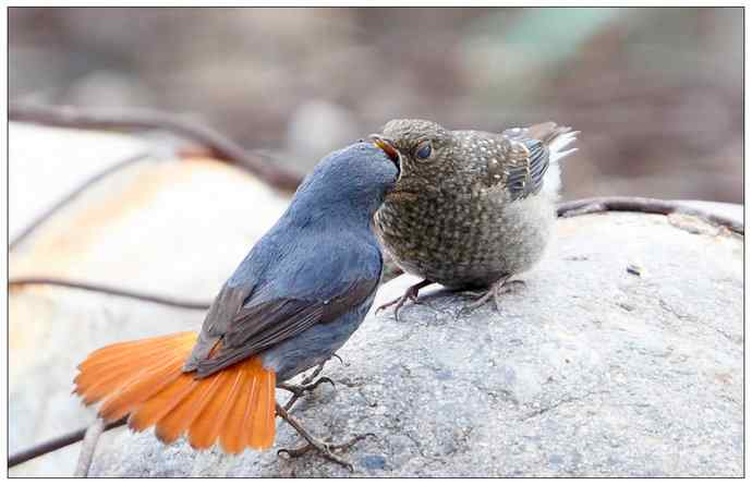 【I wbr'd wbrnever wbrfind wbra wbrlove wbrlike wbrthis】（父爱如山）