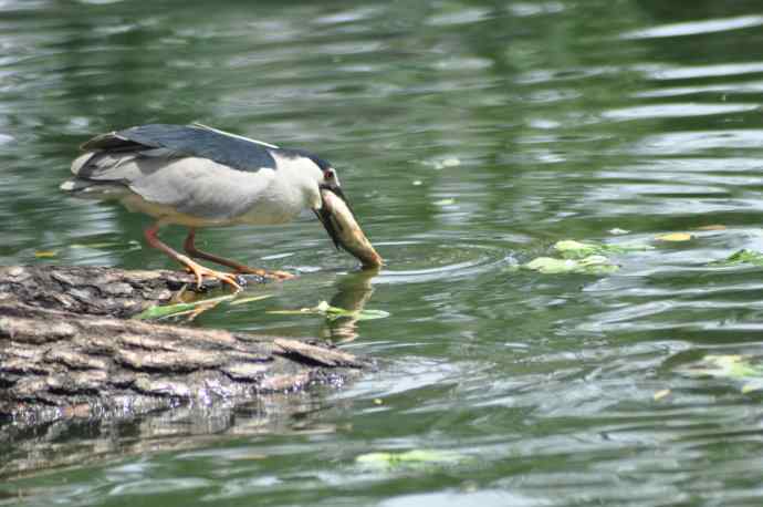 无头无尾的巧遇