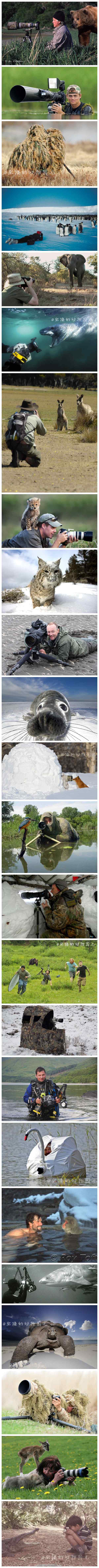 用生命拍照的摄影师们