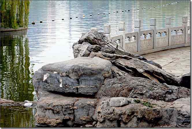  点击图片或使用键盘← →翻页