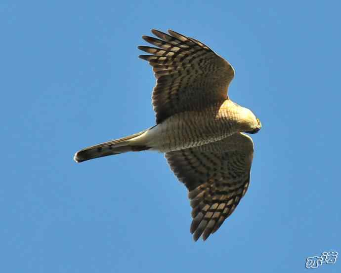 北京西山 wbr路2010-10-12望京楼 北京西山 wbr路2010-10-12望京楼