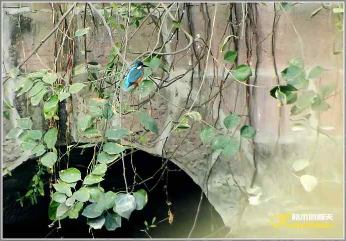 我与鈥溞〈溻澯懈鲈蓟帷菊掌