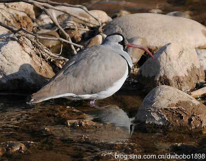 岁末再访白河峡谷