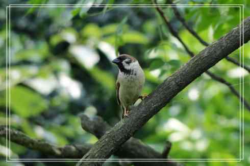 我的大生活之鈥溕隳衿濃2