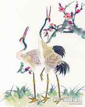 吉祥鸟水彩画手机壁纸