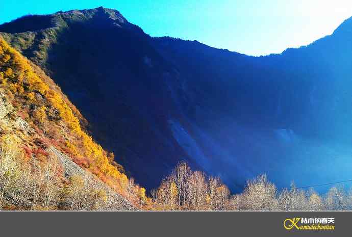 寻梦鈥溠趴讼拟潯臼蹬摹