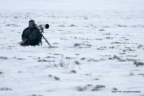 乌林鸮居住的环境 乌林鸮居住的环境