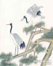 吉祥鸟水彩画手机壁纸