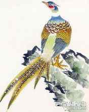 吉祥鸟水彩画手机壁纸