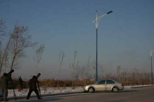 大庆猛鸮的生物链