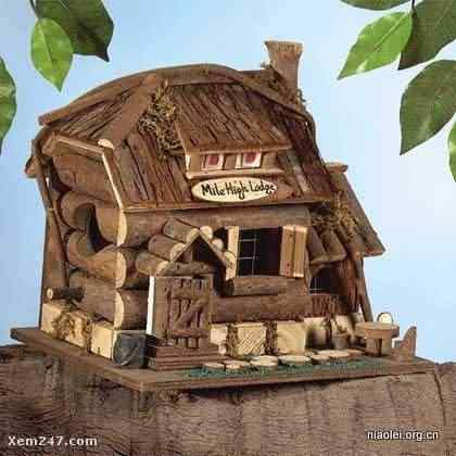 [组图]国外精致别致的鸟窝(40p)