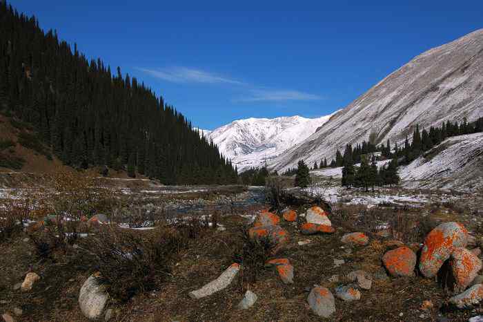 独特的高原生态系统——巴音布鲁克湿地