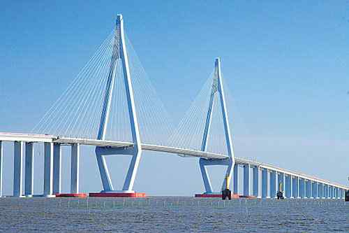 杭州湾大桥鸟撞频繁 杭州湾大桥鸟撞频繁