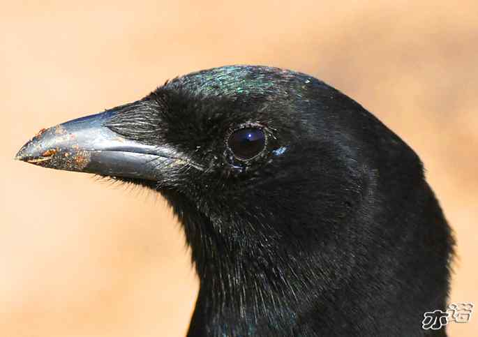 官厅水库&nbsp;wbr路&nbsp;wbr鈥湹刂麾澫踩