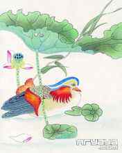 吉祥鸟水彩画手机壁纸