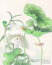 吉祥鸟水彩画手机壁纸