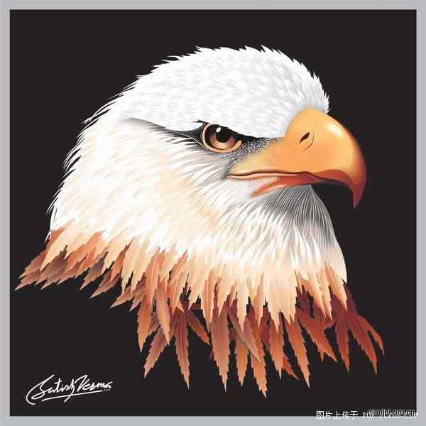 [组图]唯美的印度数字绘画 花草鸟类(47p)