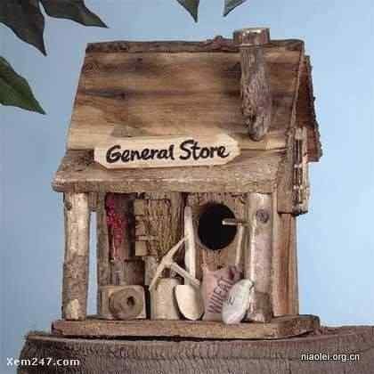 [组图]国外精致别致的鸟窝(40p)