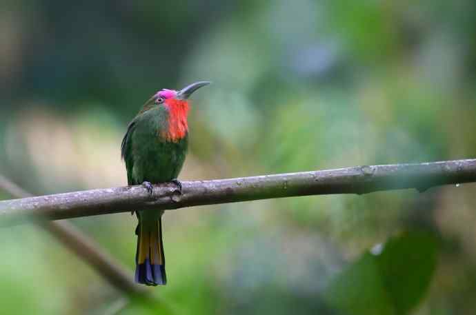 这二货是喝醉了 wbr还是关二爷穿越 这二货是喝醉了 wbr还是关二爷穿越
