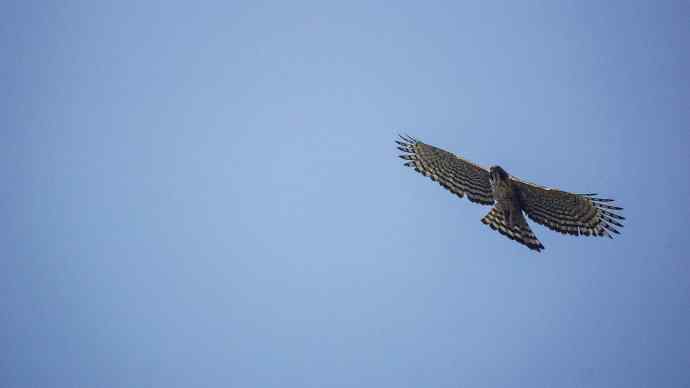 洋县朝圣鈥斺敯肯璧挠サ