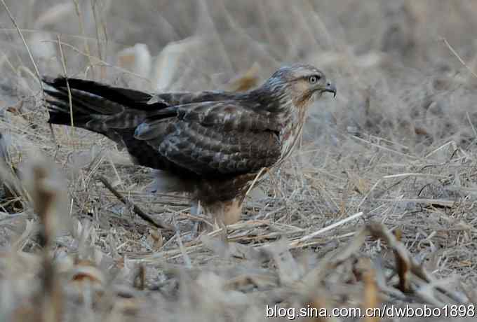 岁末再访白河峡谷 岁末再访白河峡谷