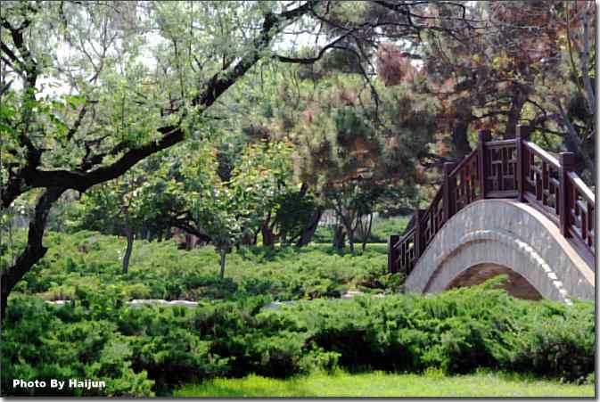  点击图片或使用键盘← →翻页