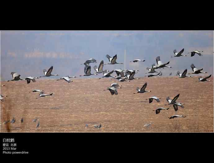 【人间四月天】