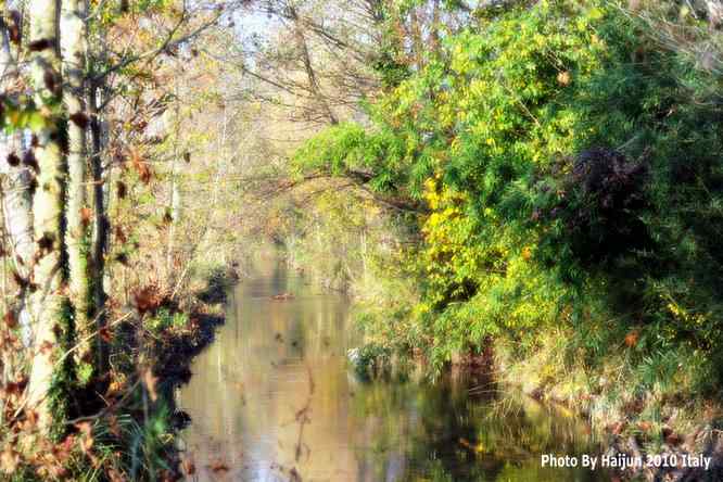 【亚平宁半岛之旅 wbr. wbr鸟鸟猎摄】