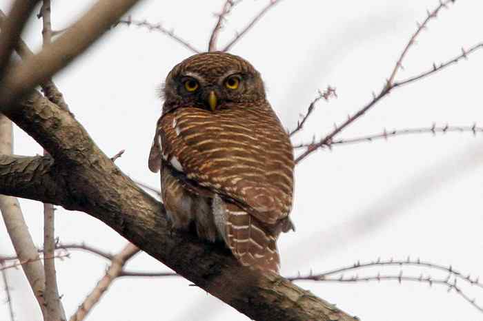 杭州老郑摄影续