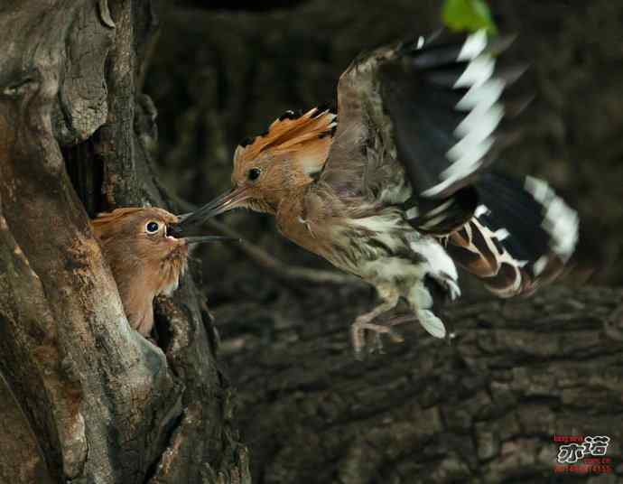敬畏生命 敬畏生命
