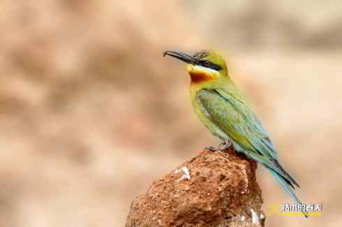 盛夏天拍鈥溊鹾矸浠⑩
