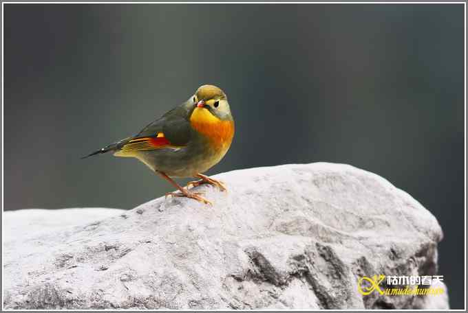 神马都是浮云，健康、快乐才最给力鈥斺斘业2010