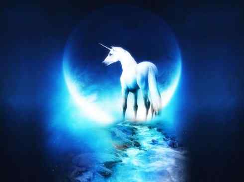 独角兽：传说的兽